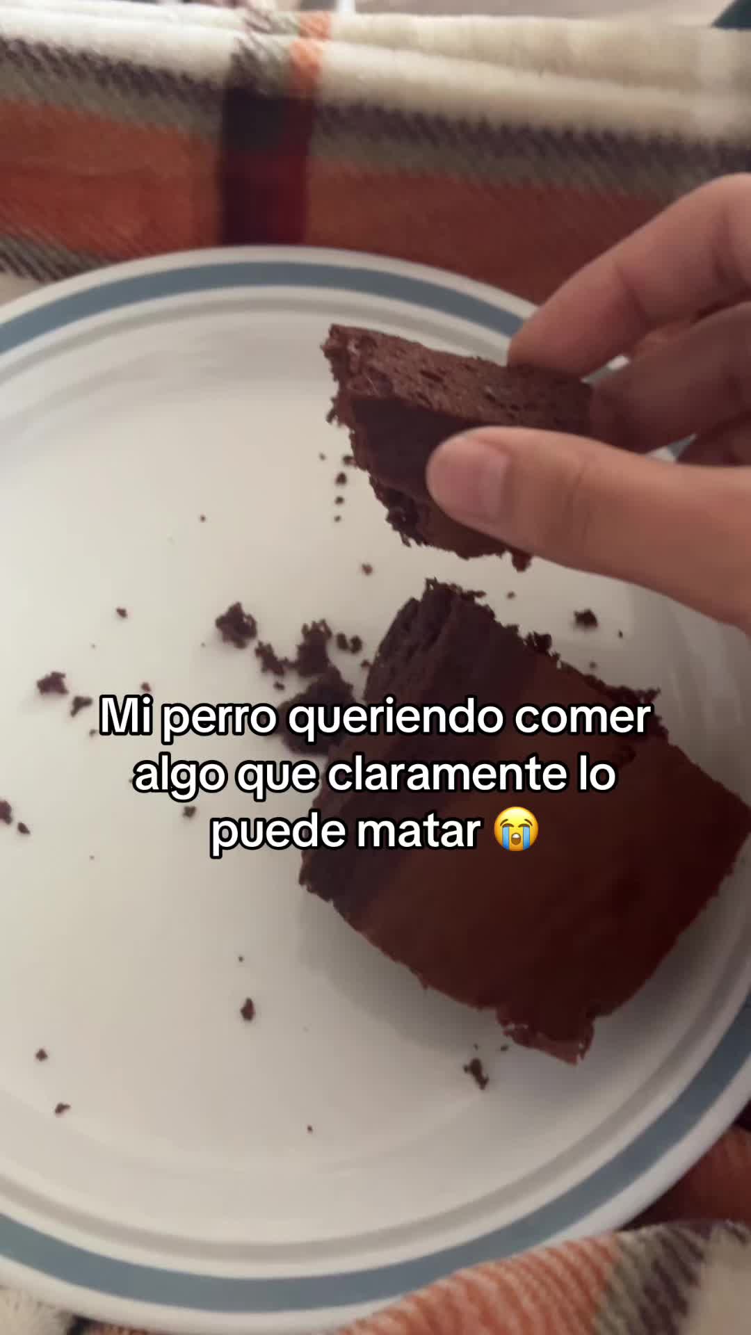 @Lizzy