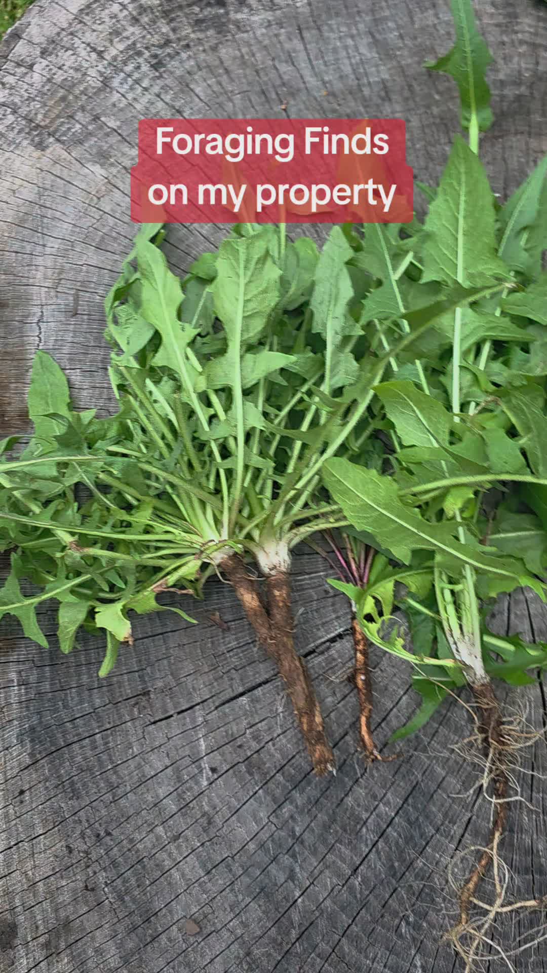 @TheMunfordMethod