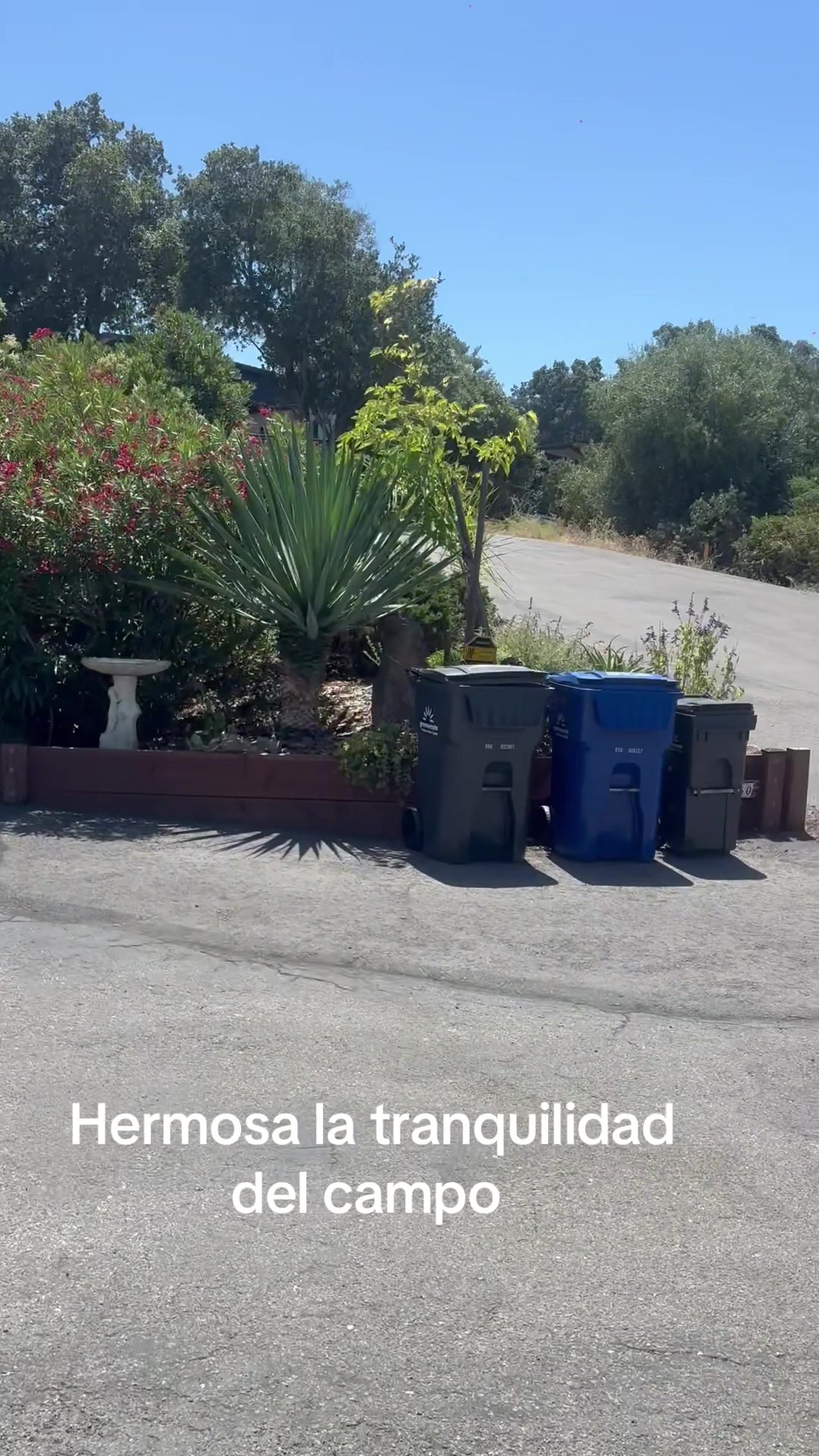 @Violeta mendez