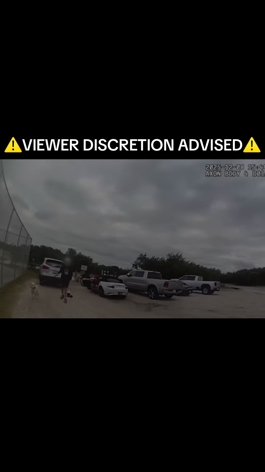 @BCXclusive