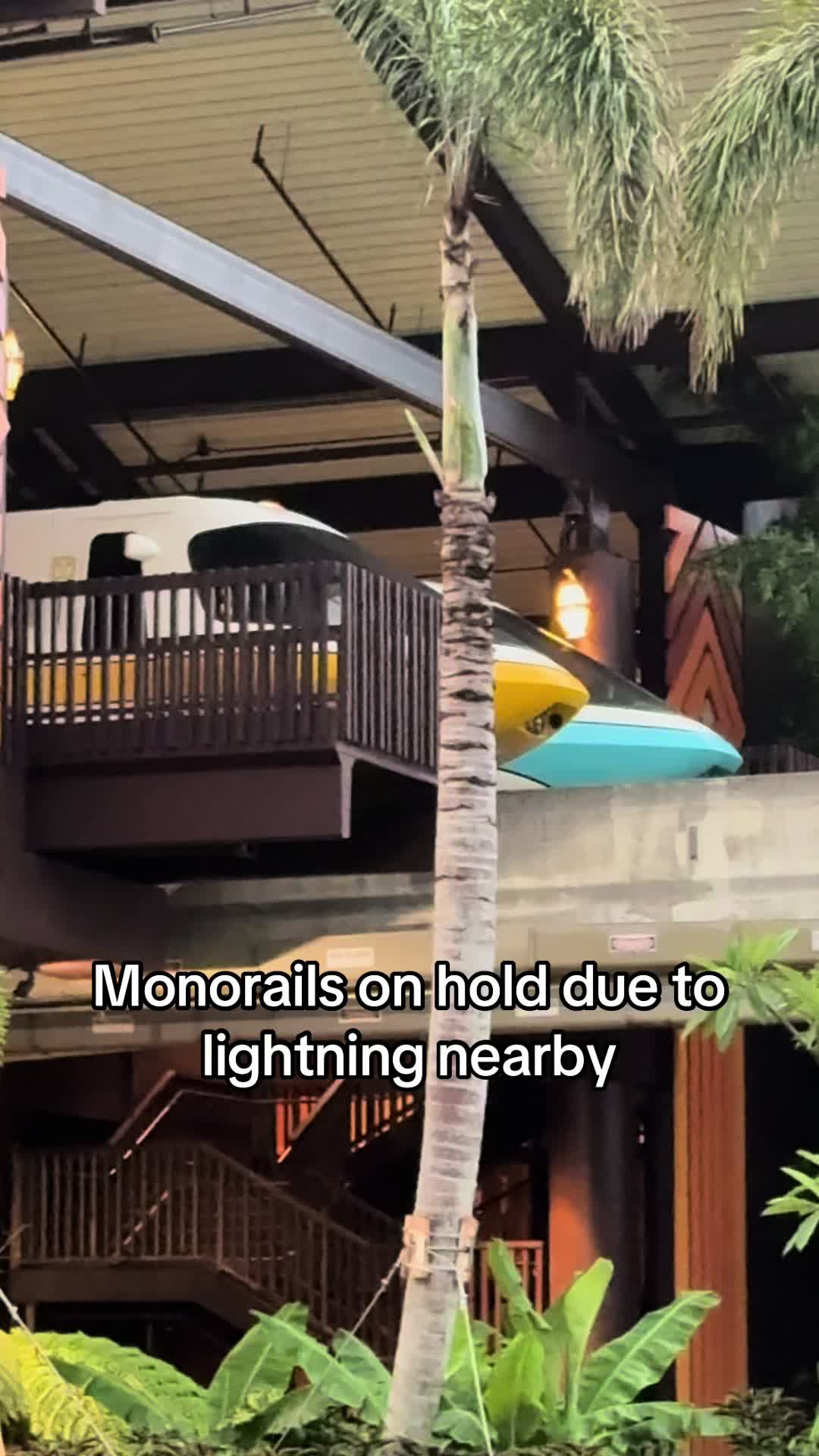 @iggyonthespot