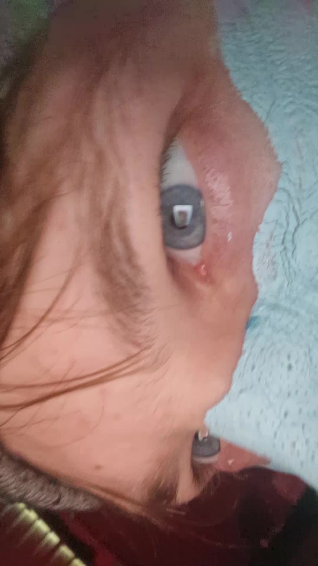 @ghostez32