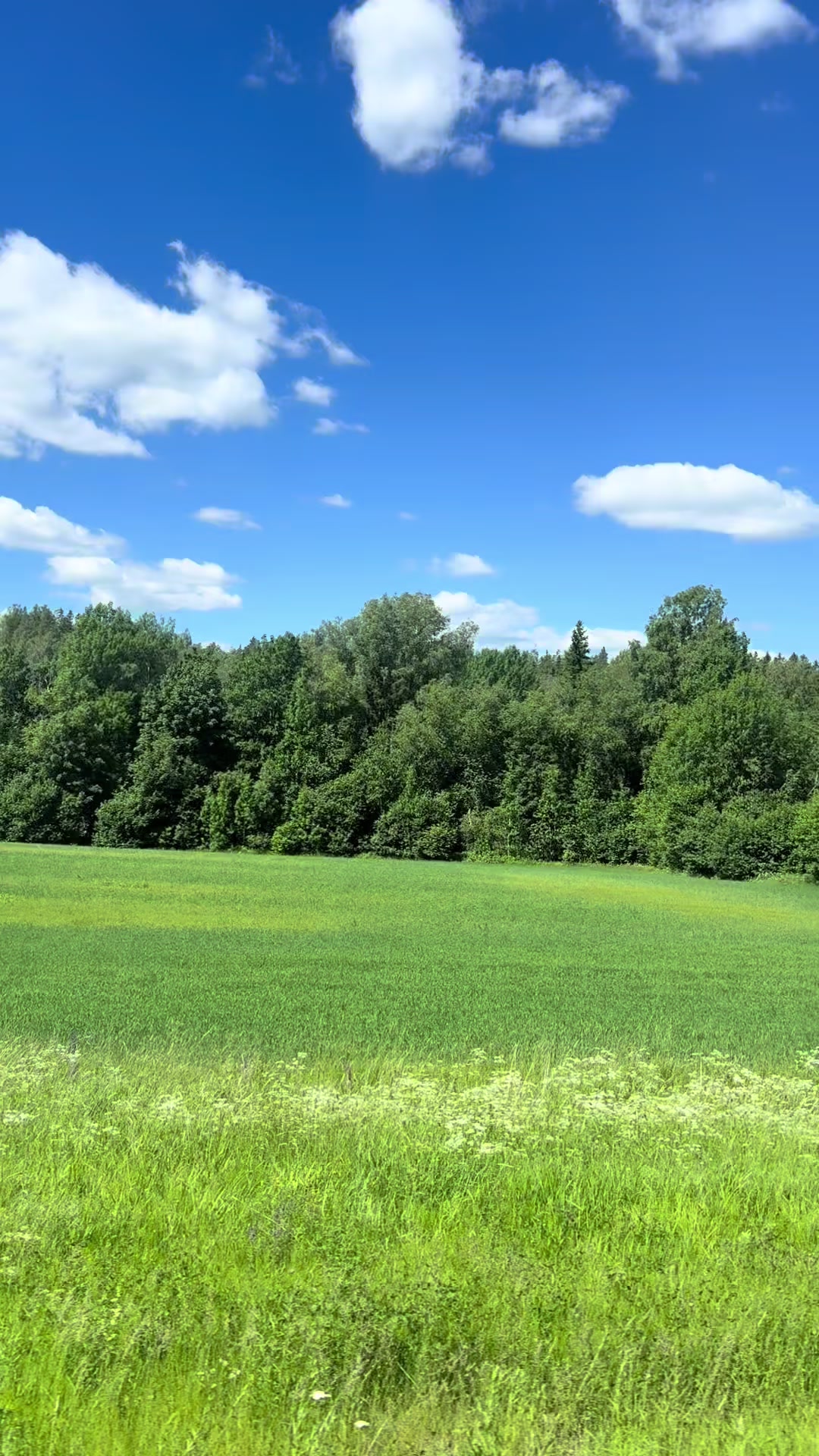 @in Finland 🇫🇮