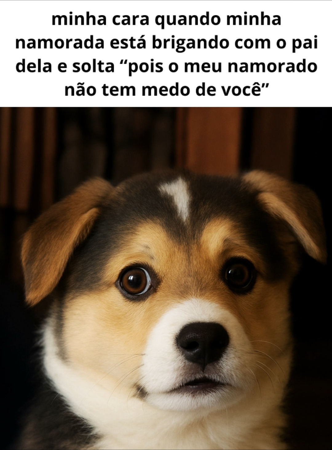 @o mago