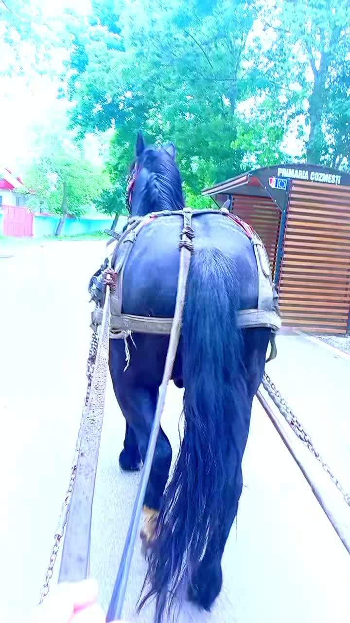 @Peo❤️Efi