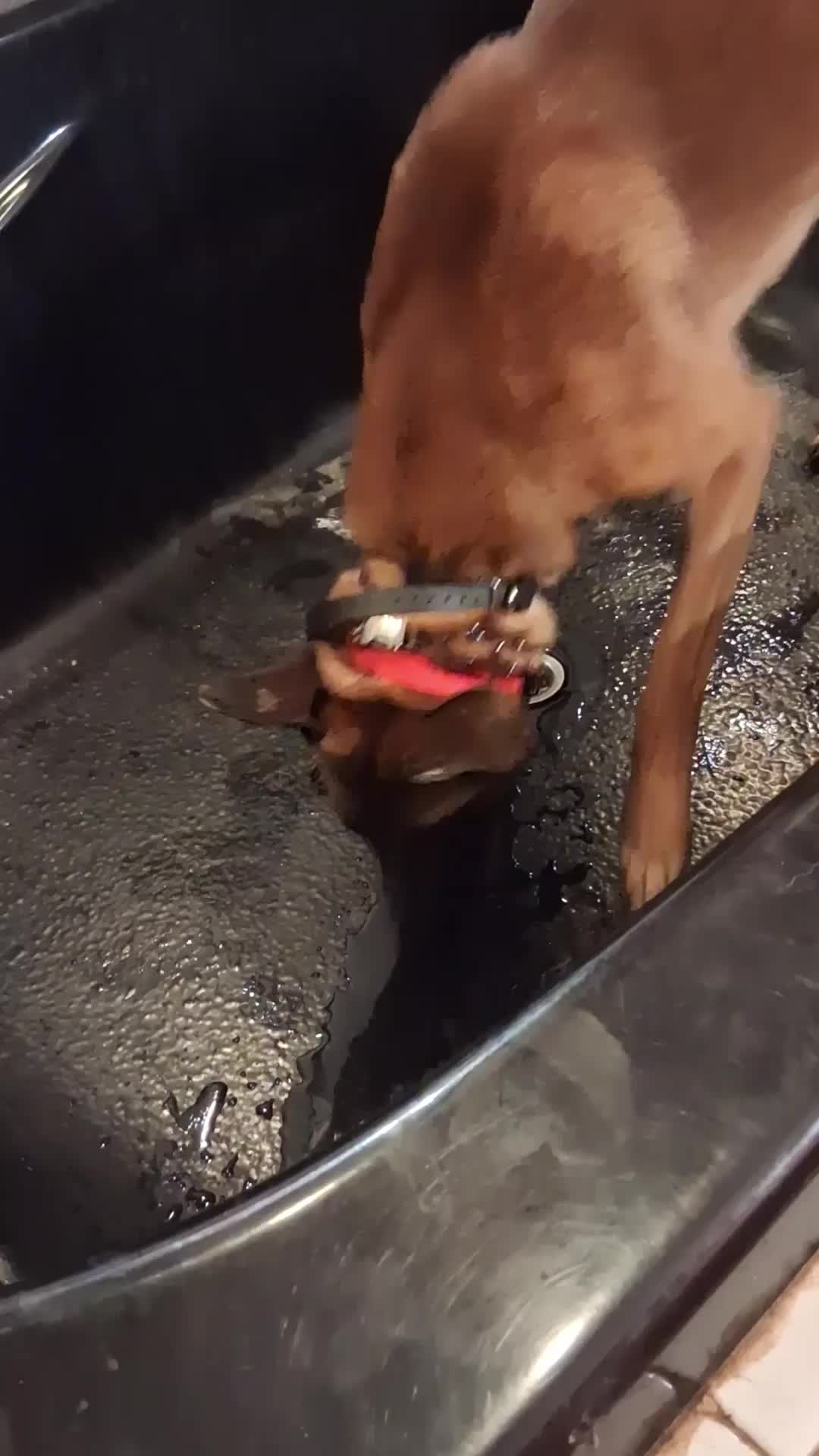 @Natalie Thatmalinoislady