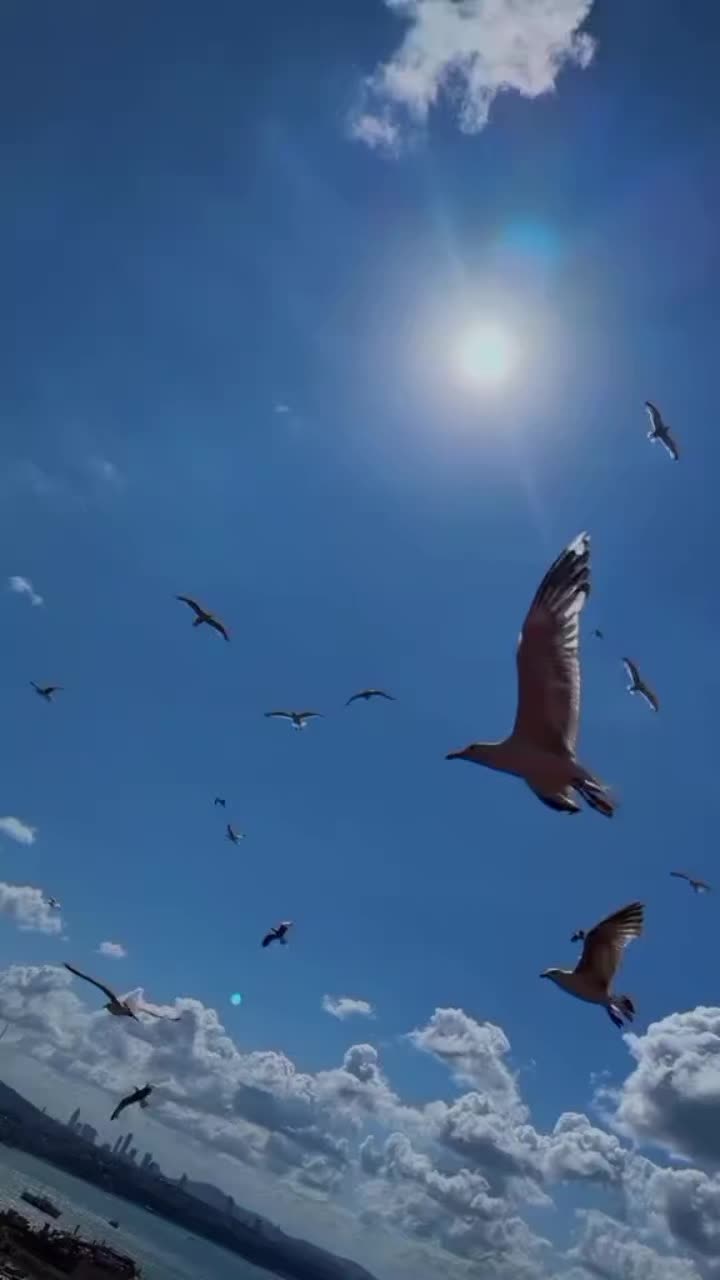 @🦋𝐁𝐞𝐬𝐭 𝐐𝐮𝐞𝐞𝐧🦋