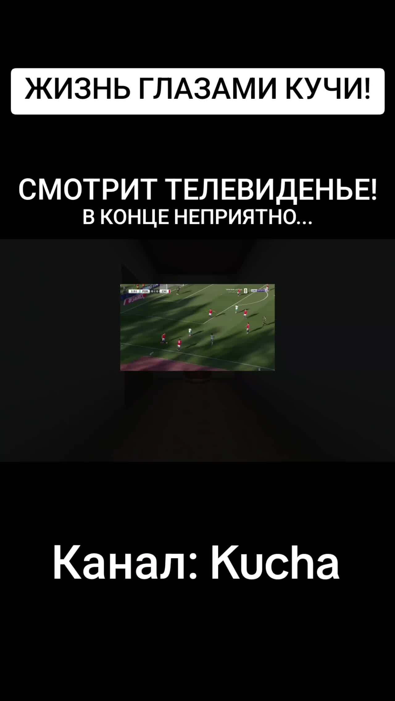 @svinina