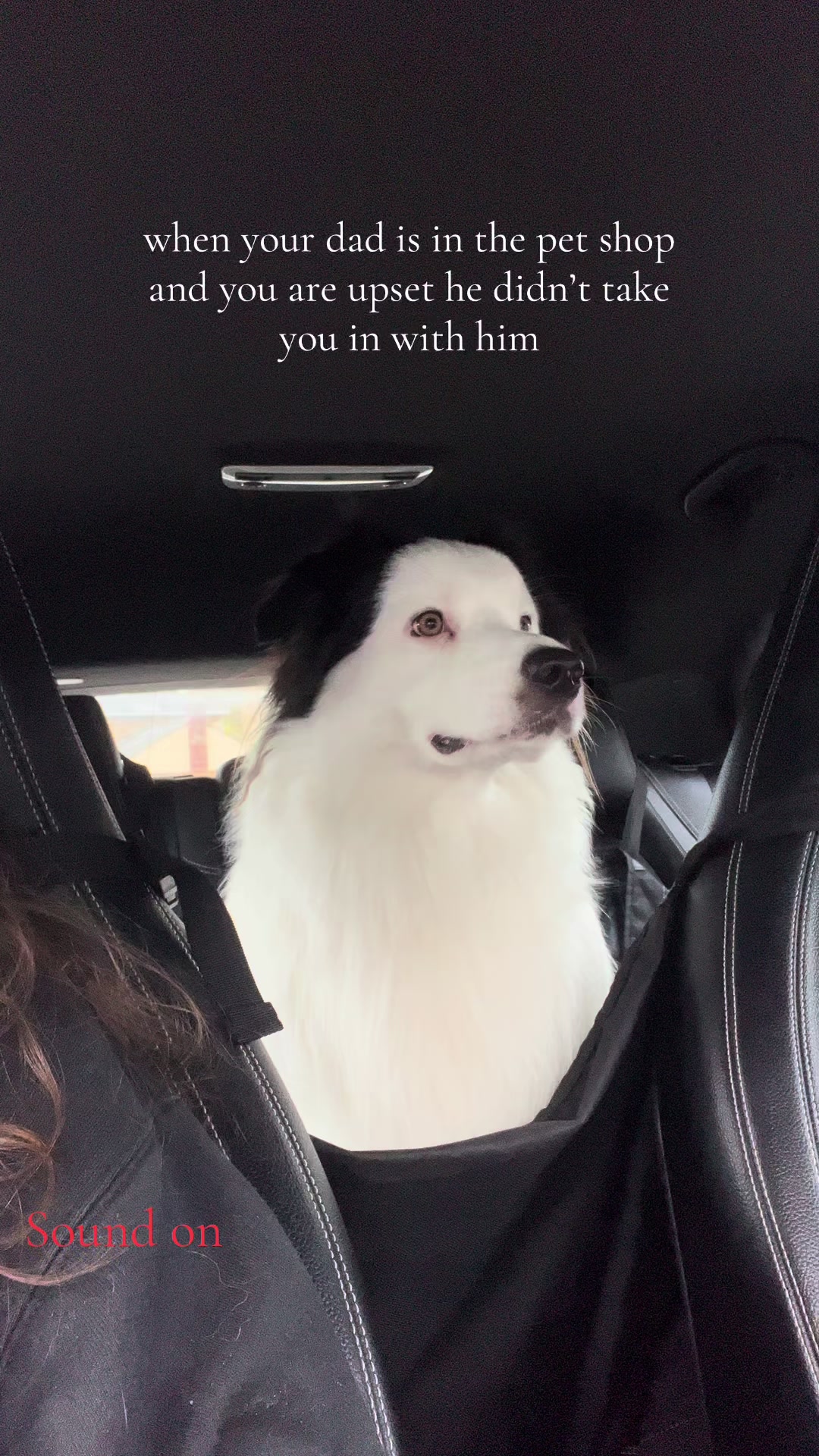 @Buggs the Aussie