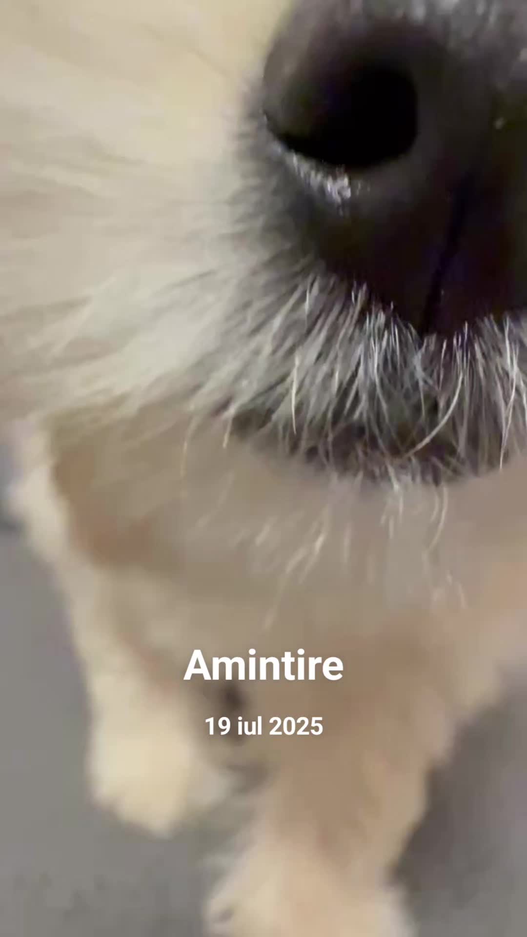 @Adina