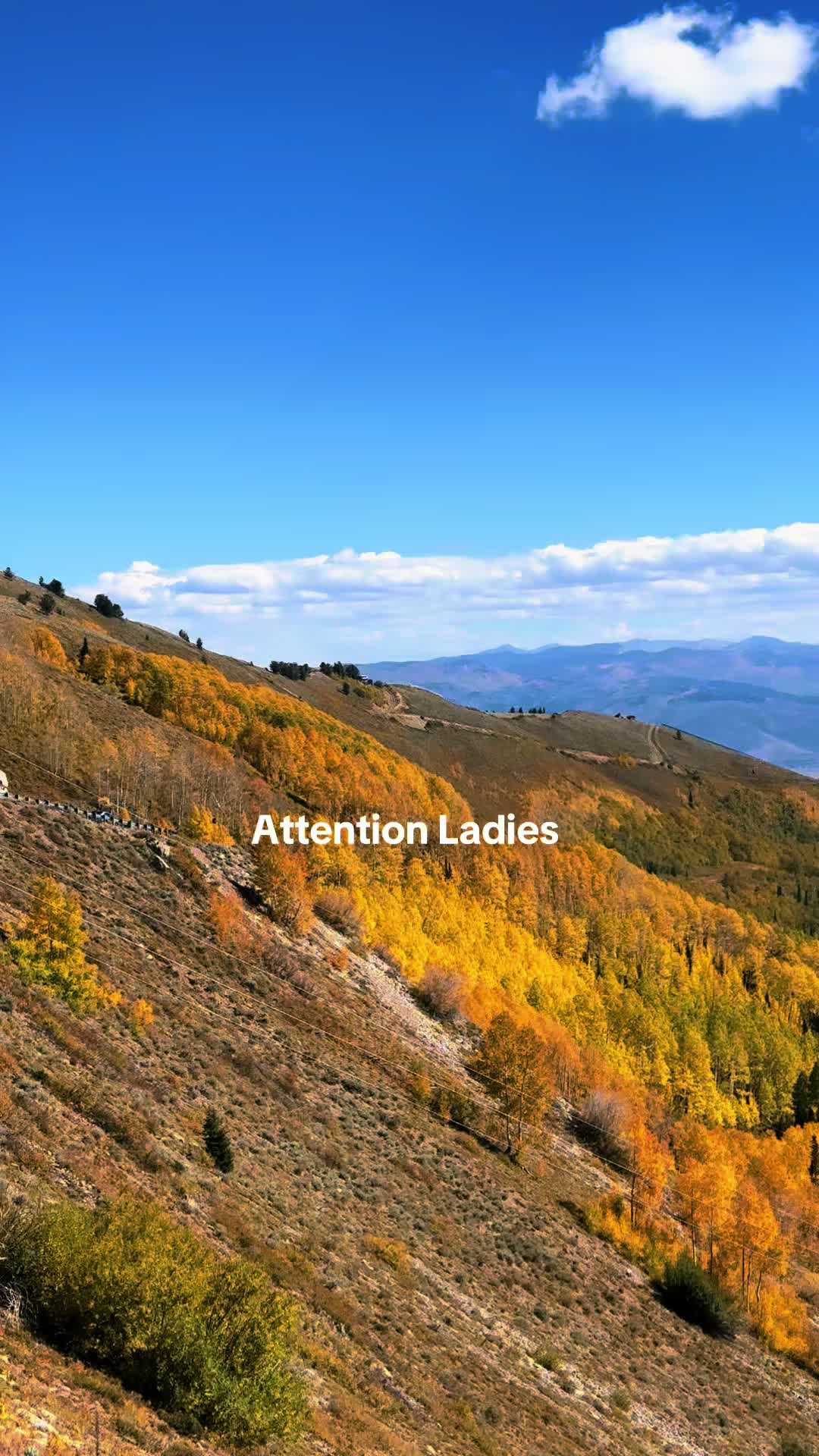 @hikingwithamelia 🏔️⛰️🥾