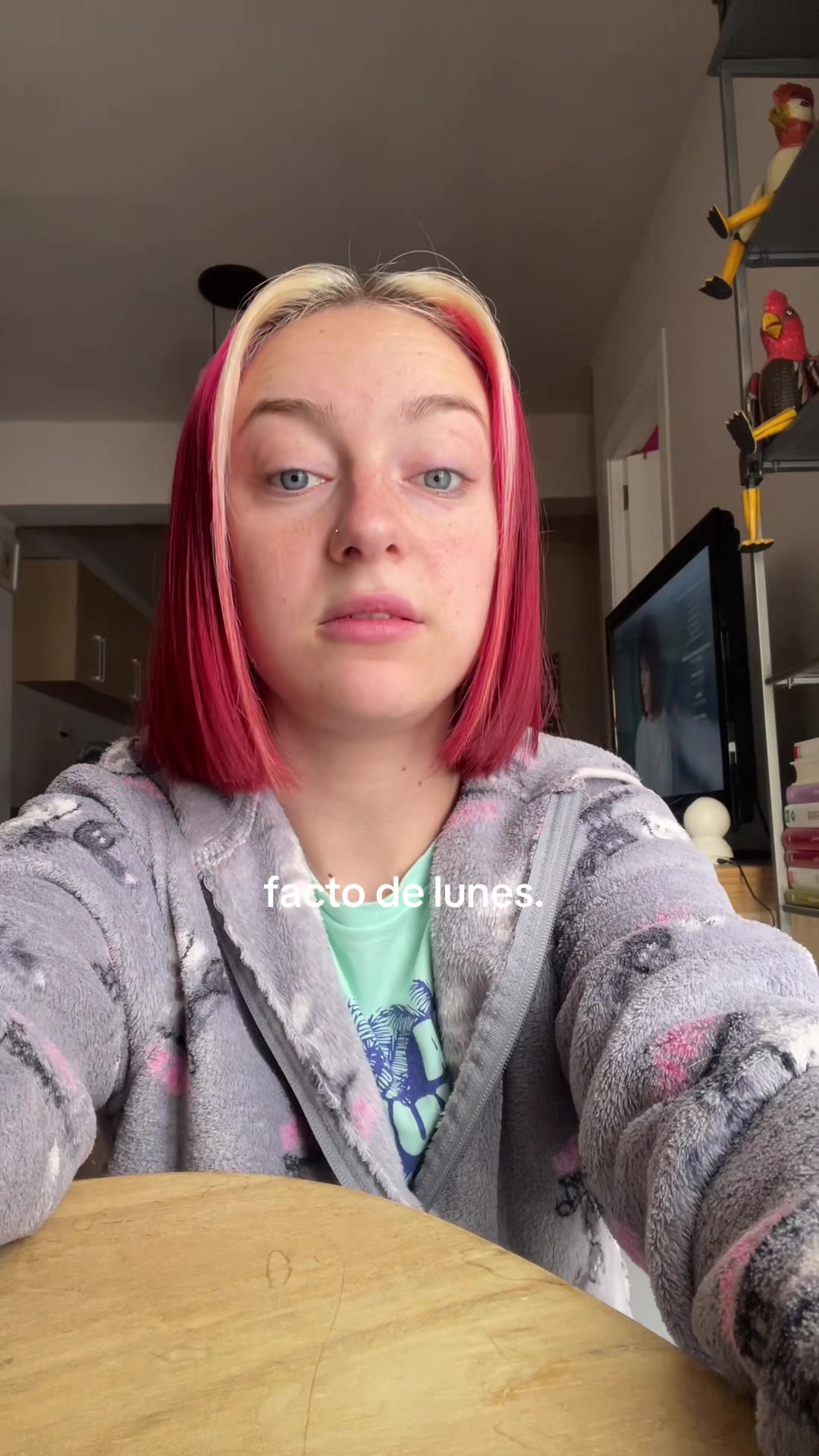 @paula.lap