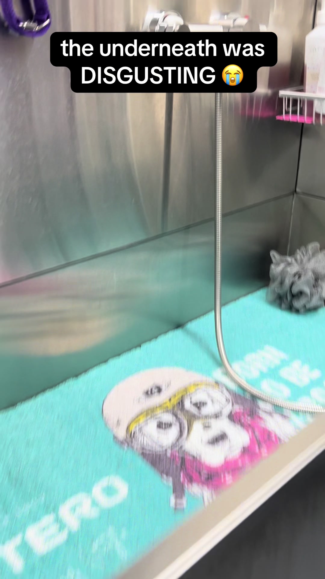 @Poochiepoosdoggrooming
