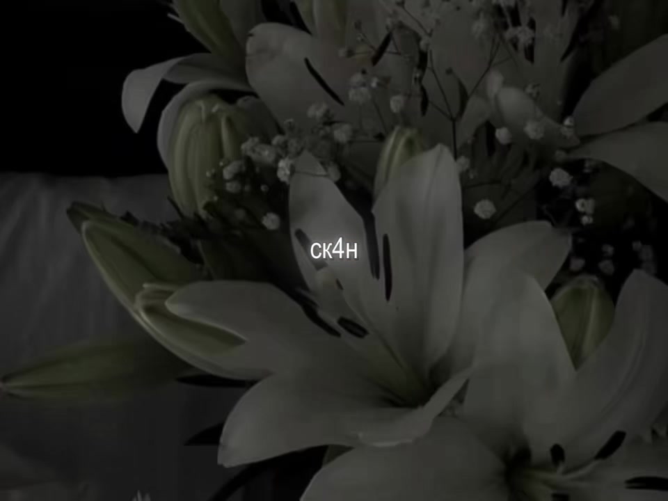 @звуки для липсингов