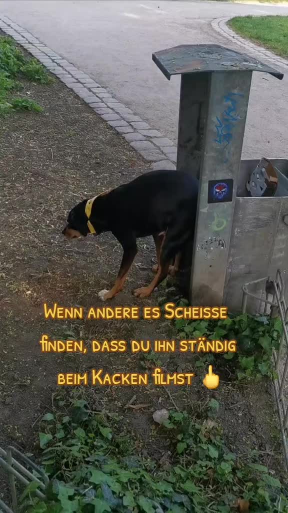 @K&ouml;nig Kack & Prinzessin Pipi👑