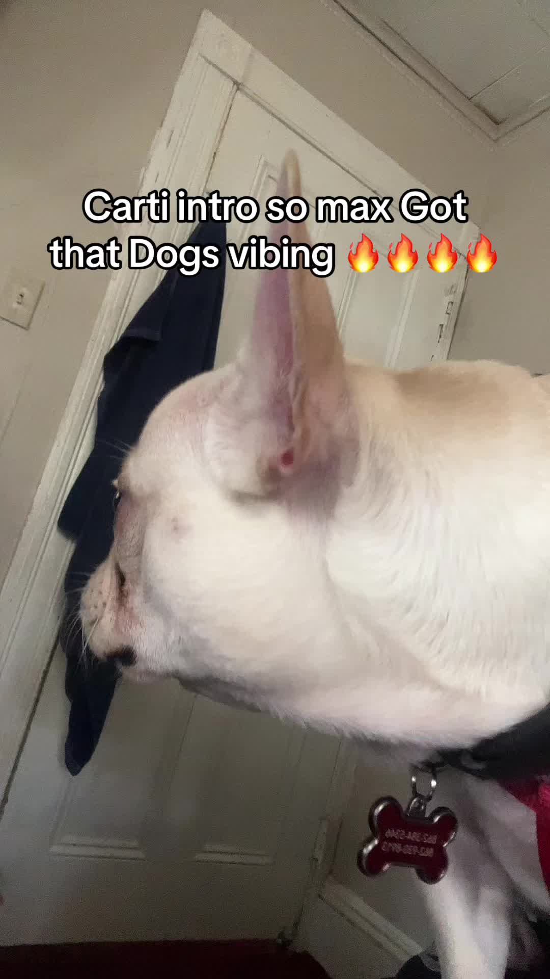 @jaunyyyy