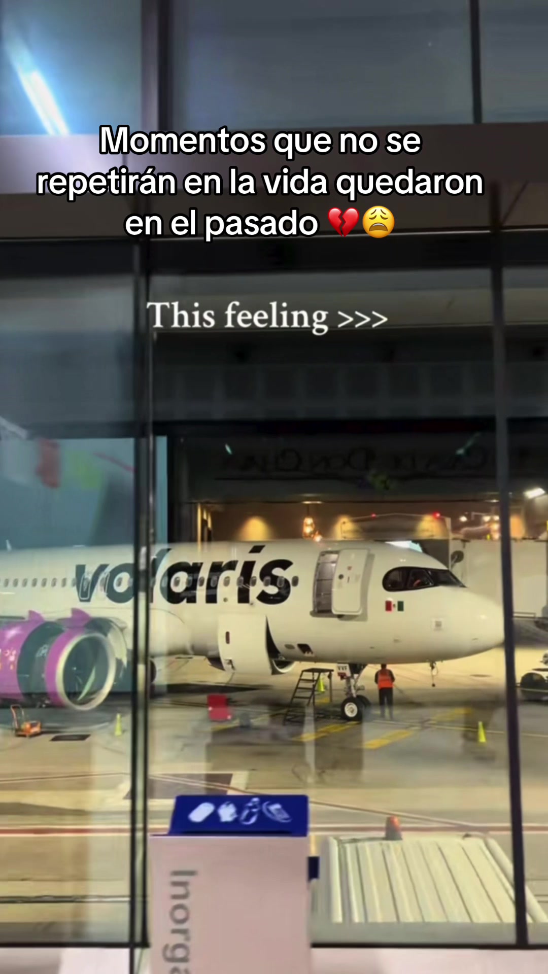@🌻🦙🦉🦁JC7⛰️🦅🧚🎀