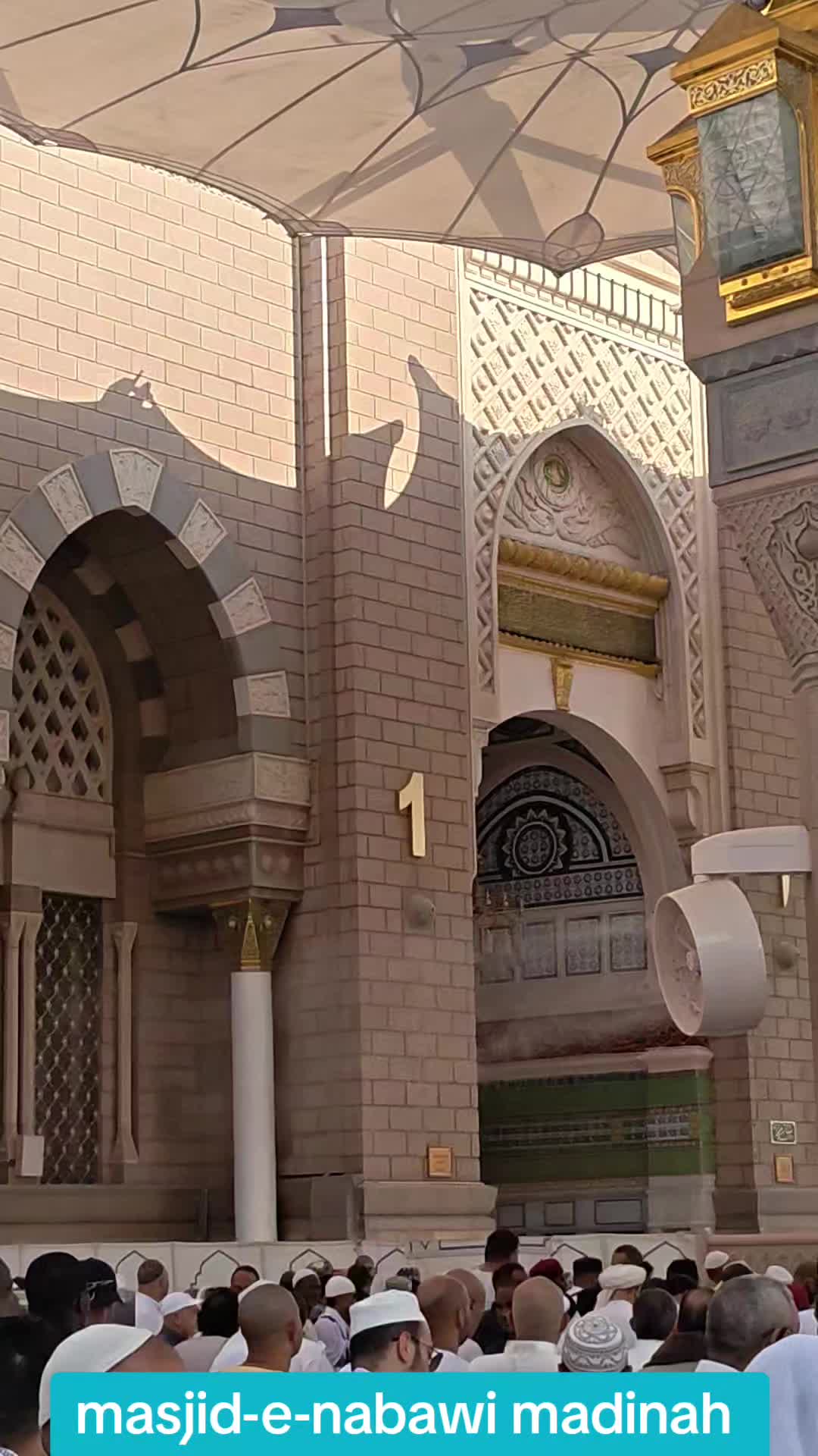 @saleh Hafeji