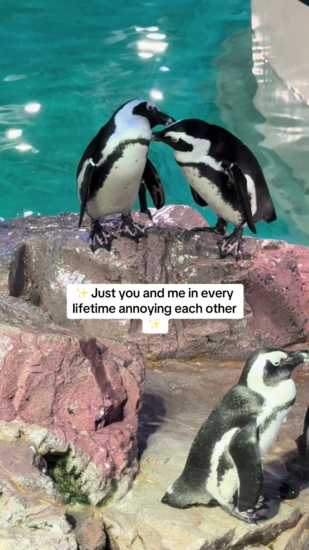 @Rachel Lyn
