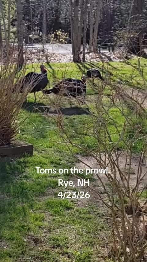 @drastically Reduced