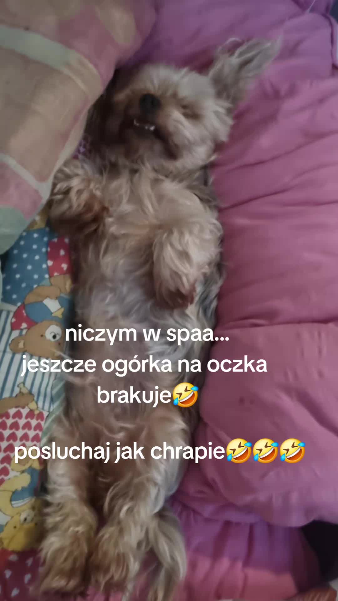 @JoviMomCare
