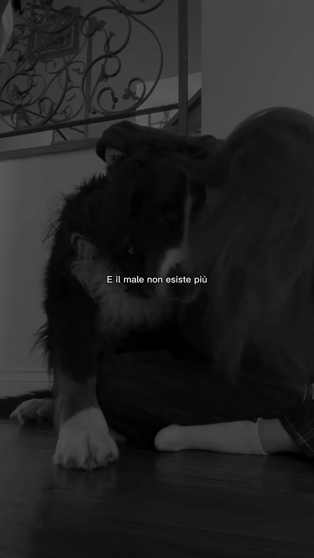 @Rita Cicalese