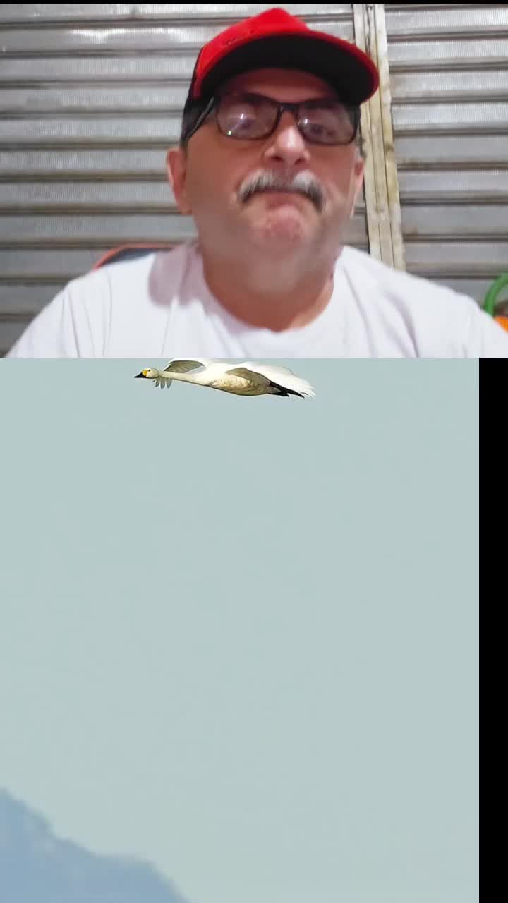 @canal do dia a dia da família