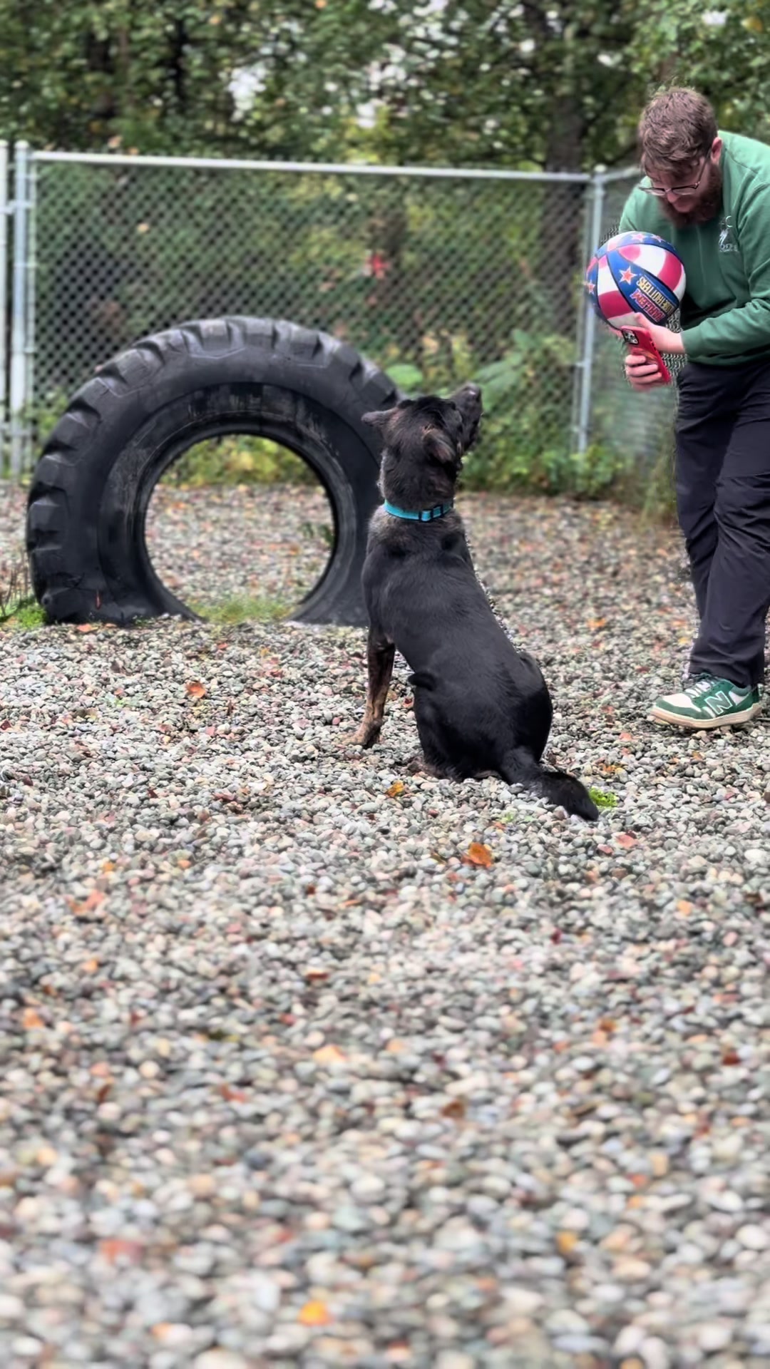@Anchorage Animal Care Control