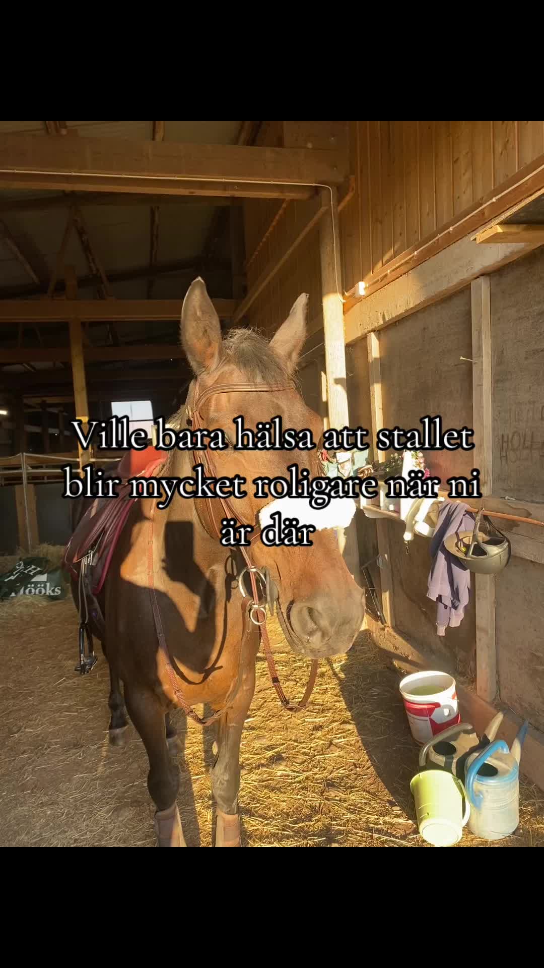 @Emelie och Lady đ