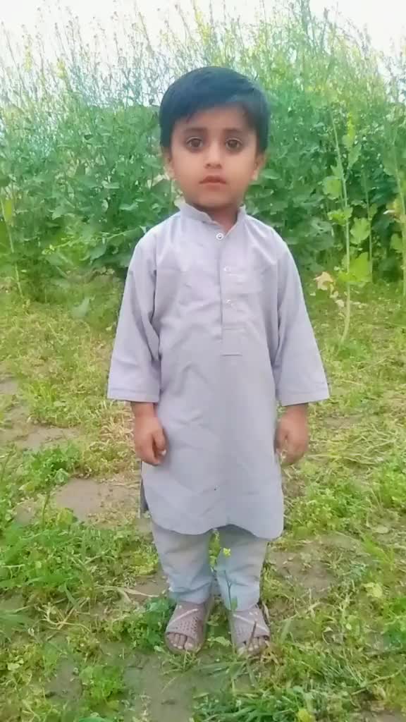 @GULMEER Dhuli 5211