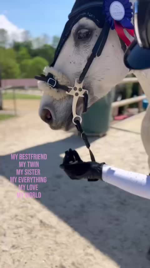 @Elina_jump