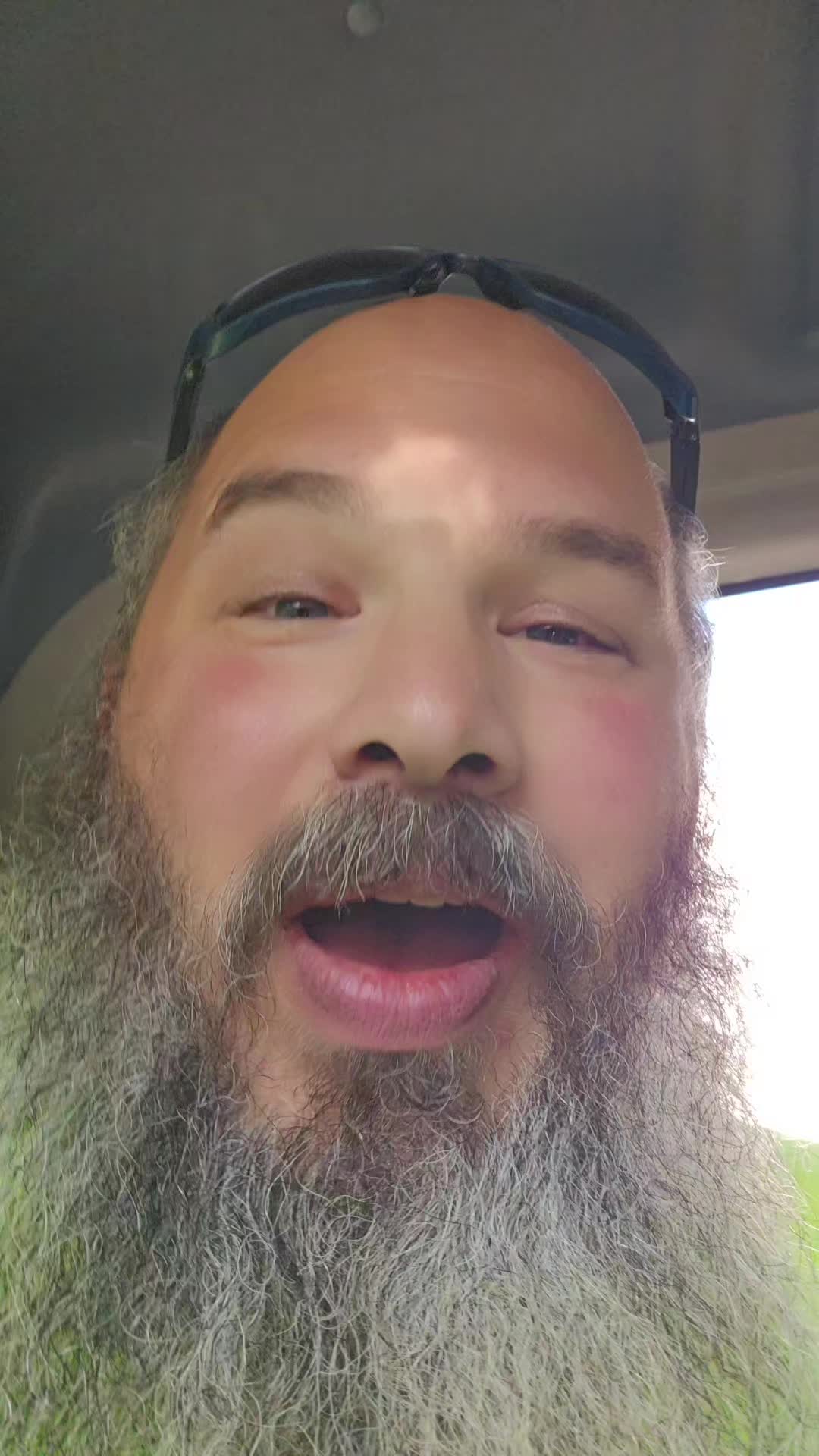 @chinchillagod