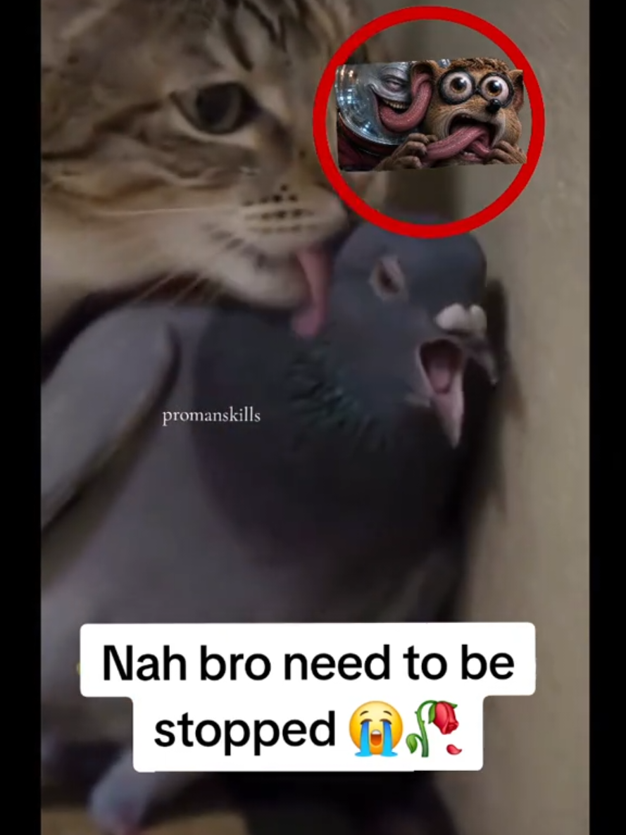 @Promanskills