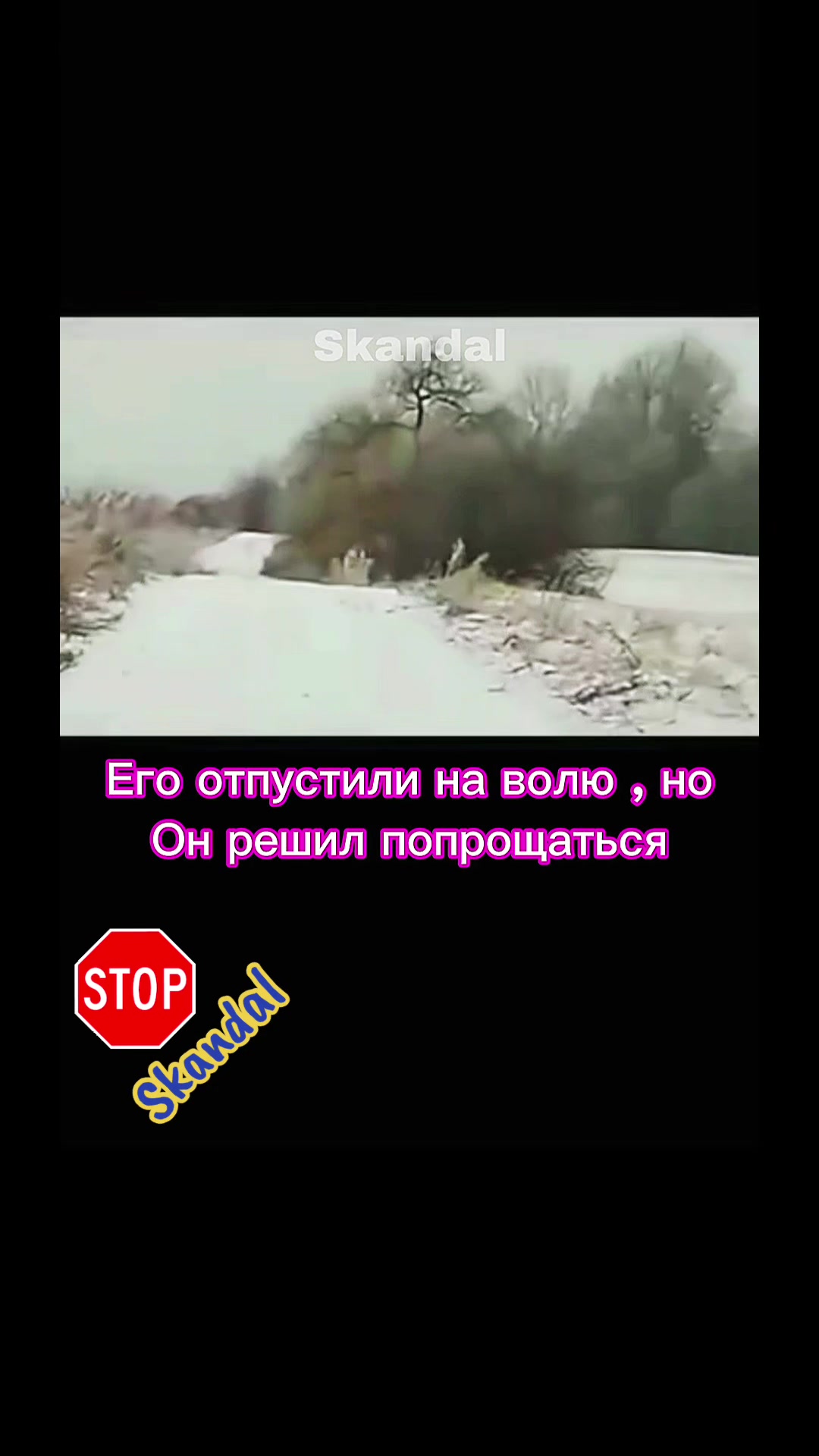 @skandal 2