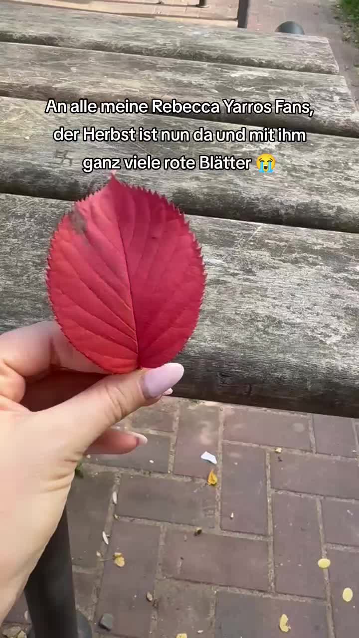 @🌺Life is beautiful🌸