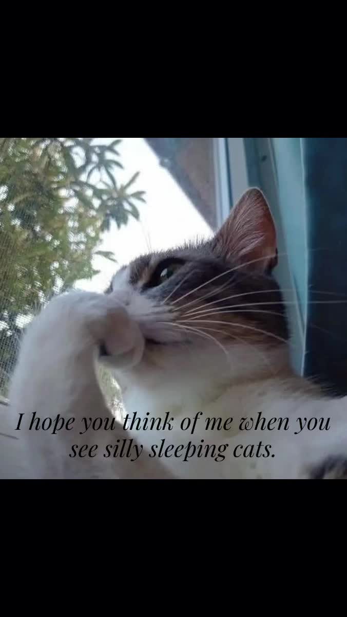 @ℒ𝓊𝒩𝒶&hellip;