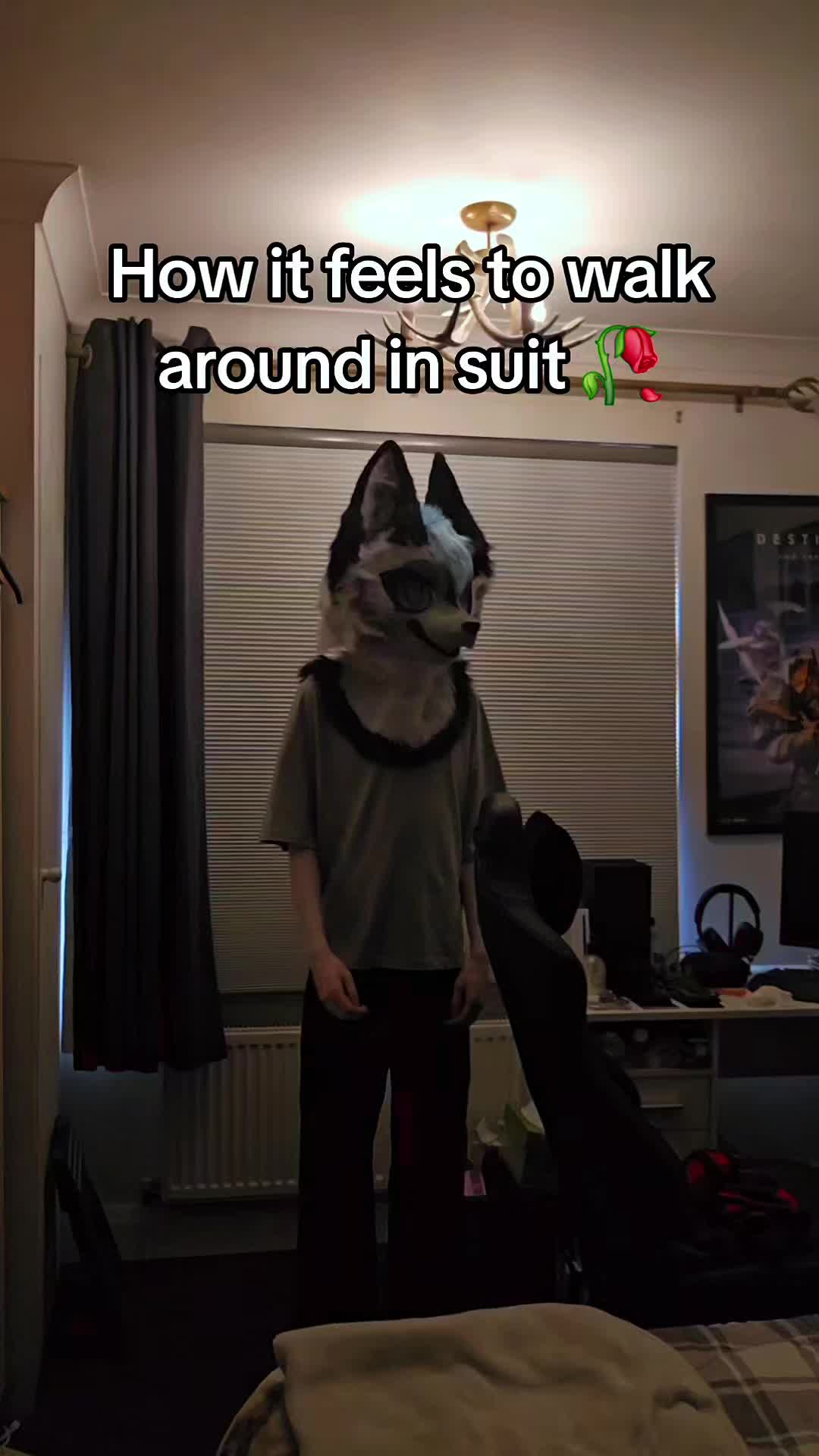 @Maishu Foxx