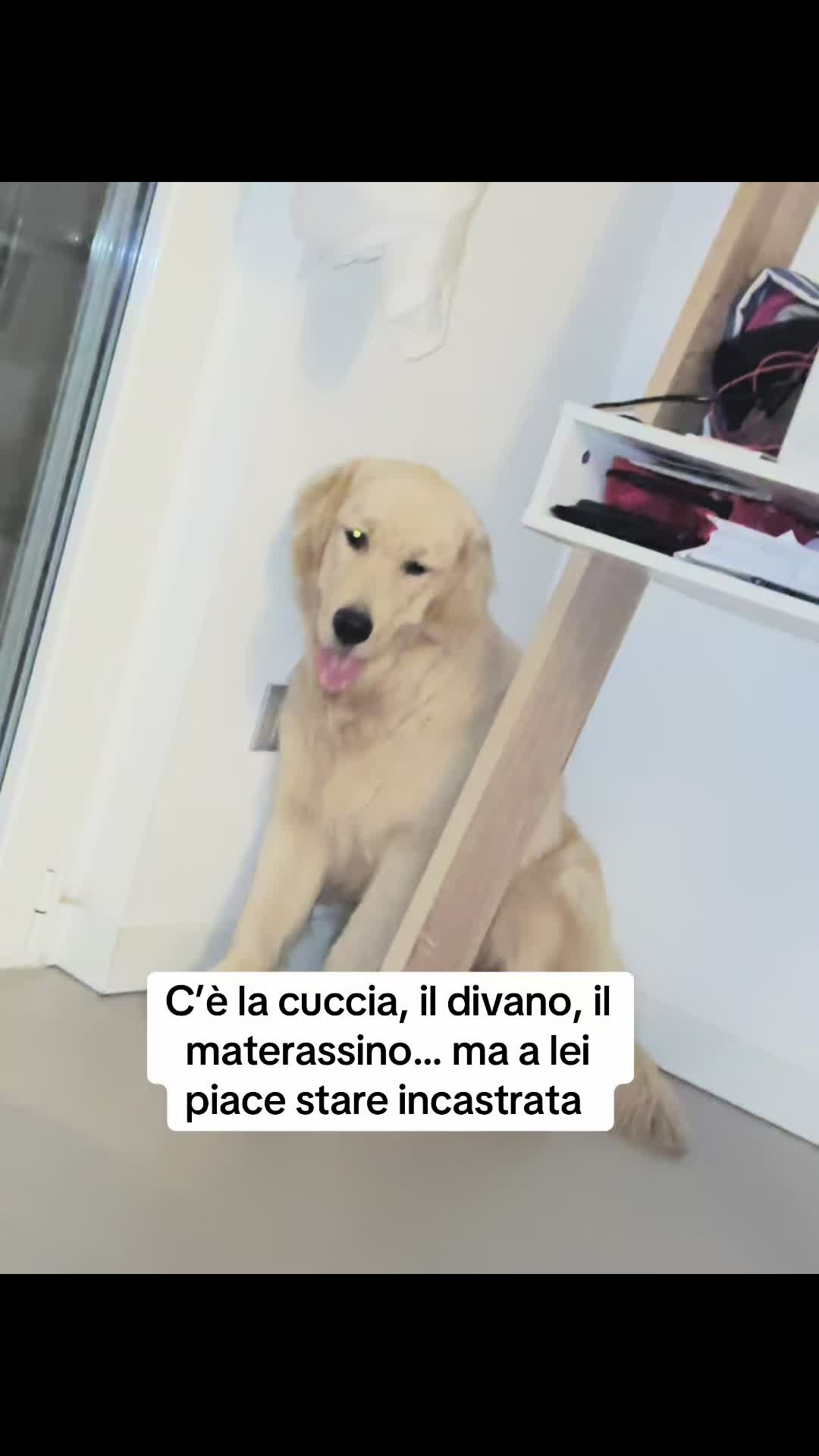 @Raffa&Cali