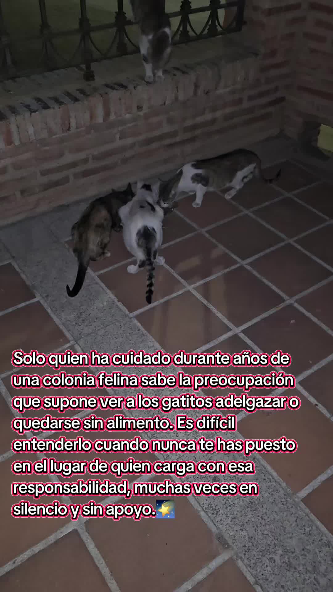@garritasespaciales