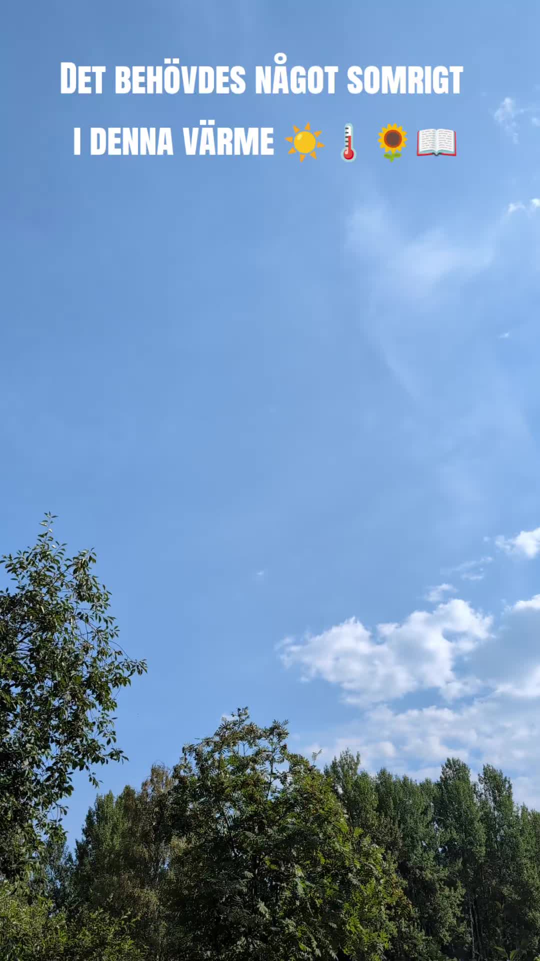 @Cecilia Johansson 🇸🇪