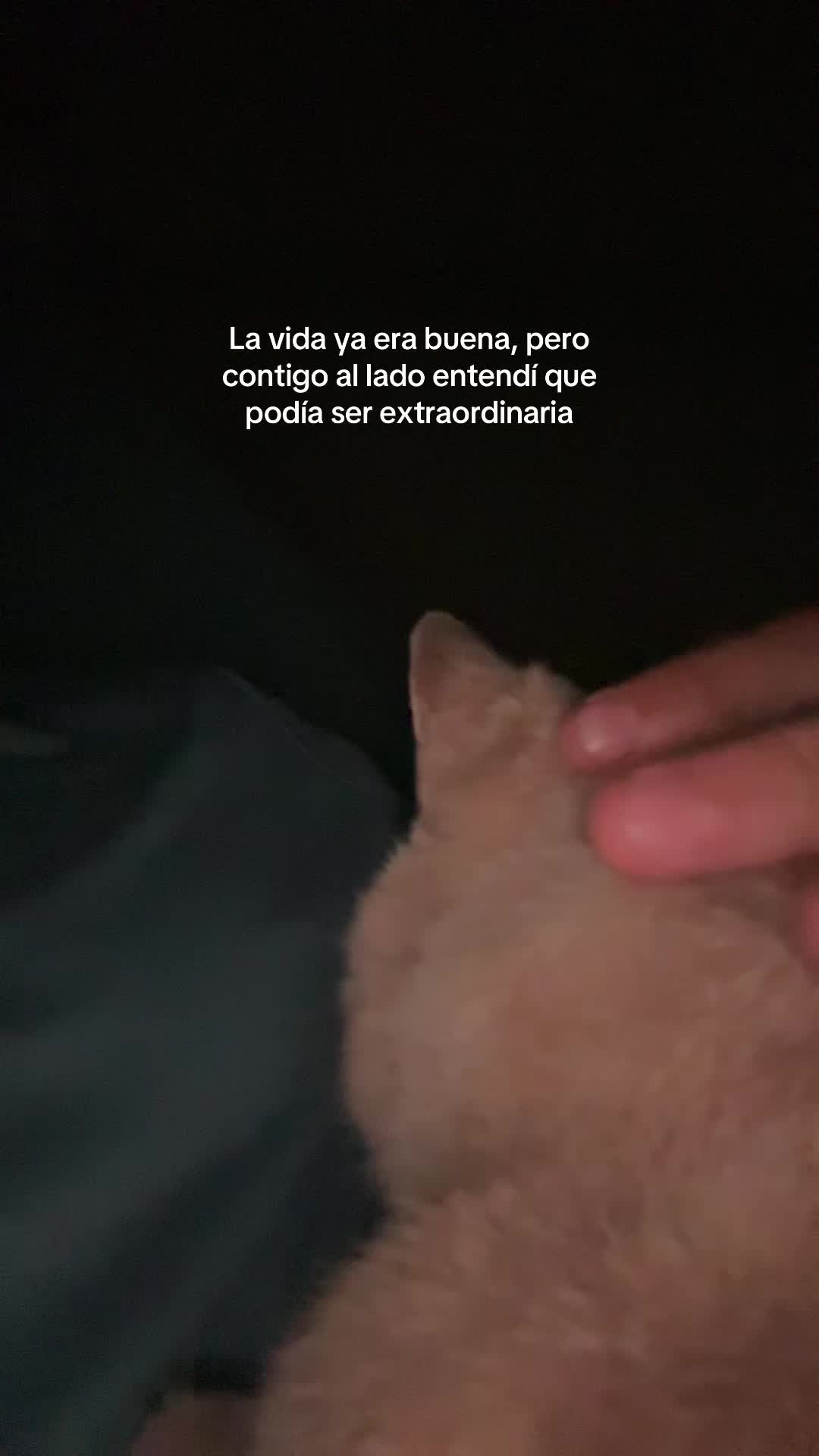 @J.E