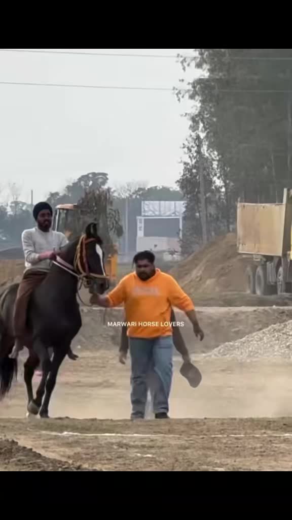@🏇 MARWARI HORSE RACING 🏇