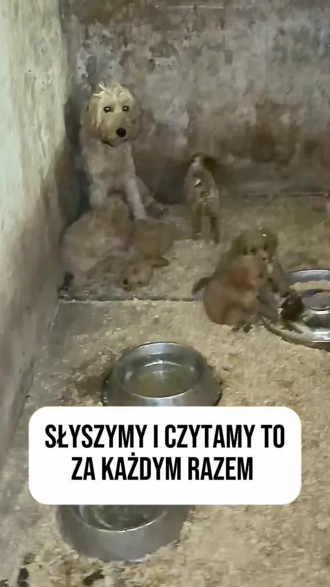 @FundacjaJudyta