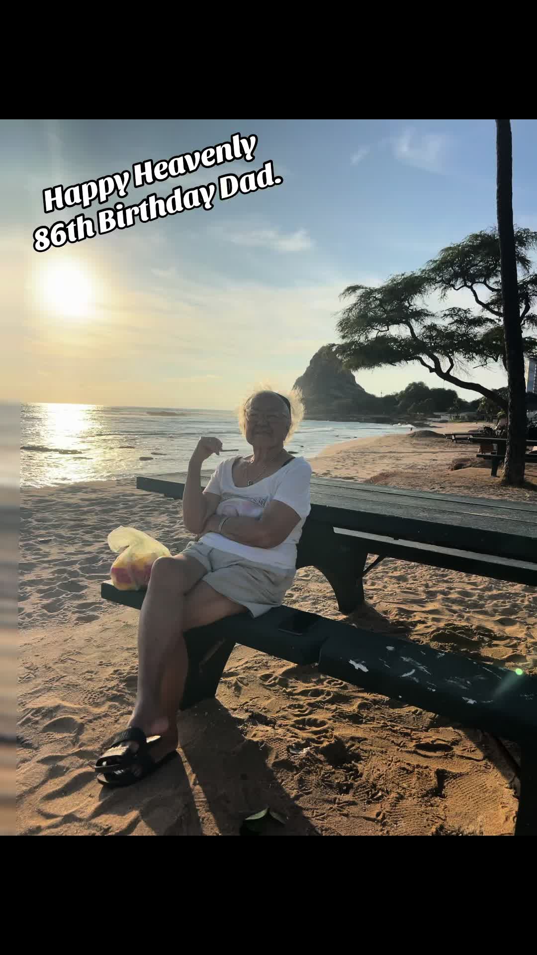 @anelapauoshiro