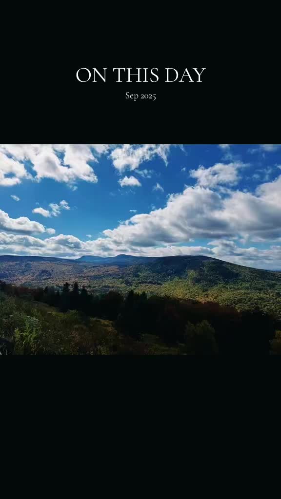 @Los
