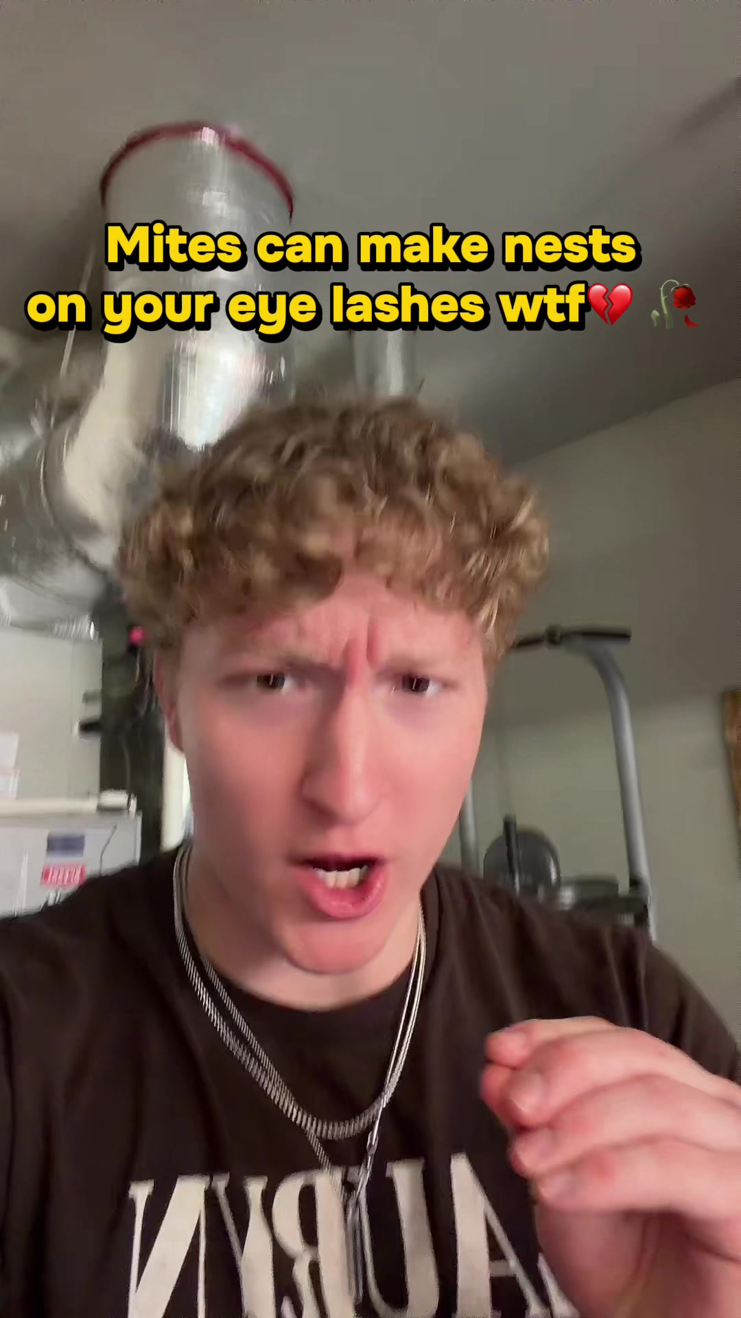 @madjaxnn