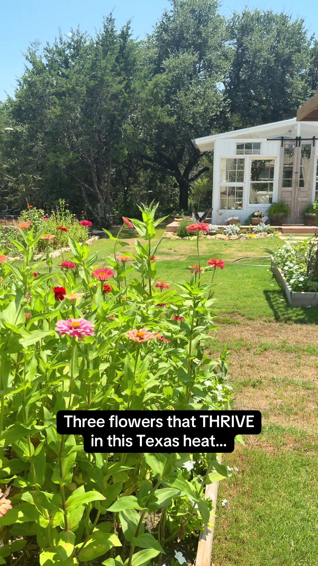 @Glasshouse TX Farmhouse Blooms