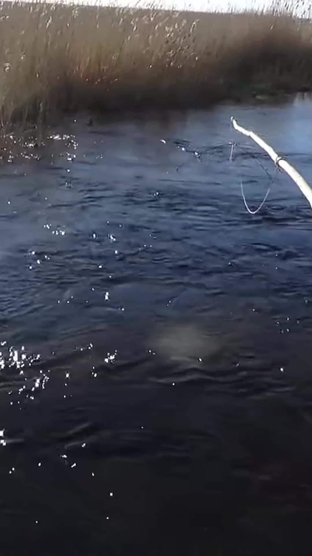 @ribalka_fishing