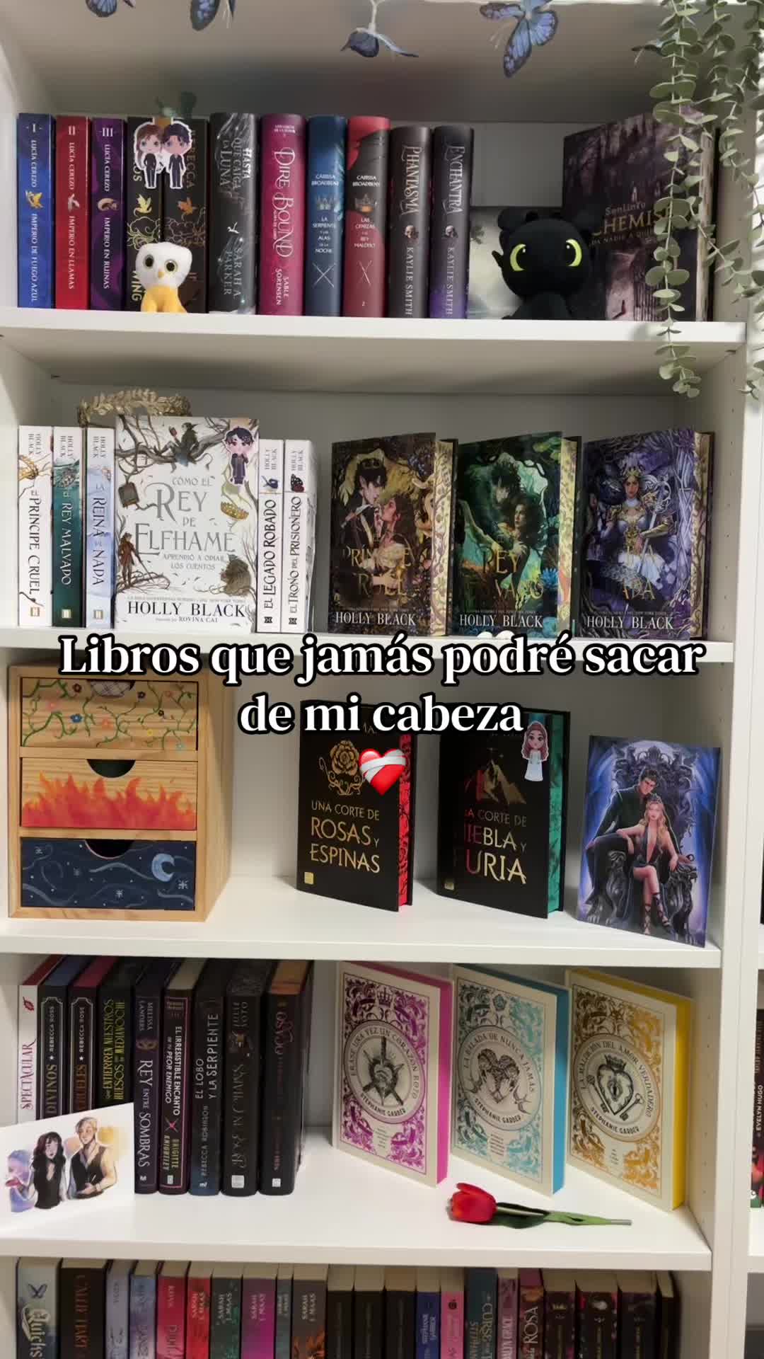 @Thedarkmoonbooks🌙✨