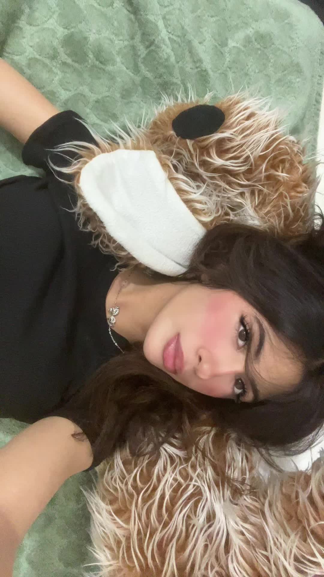 @aylar